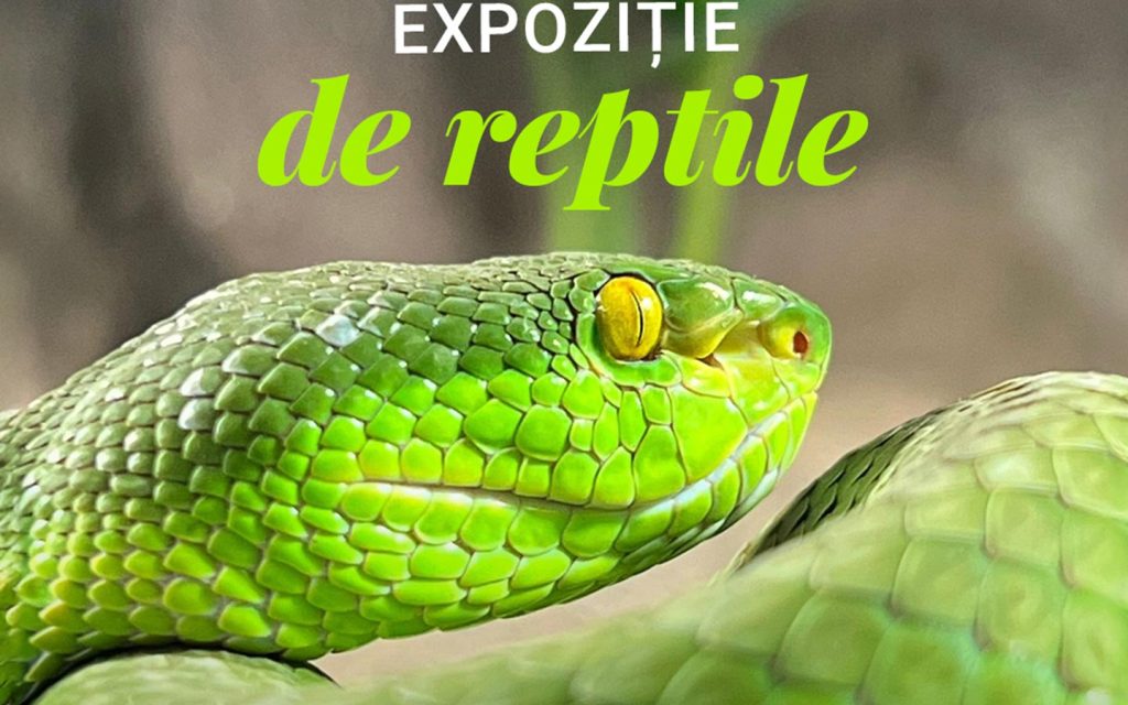 Expoziție de reptile