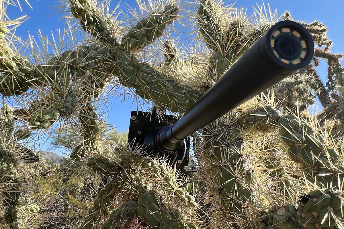 Ocean, narat de David Attenborough, proiecție &icirc;n premieră &icirc;n cadrul LYNX Festival