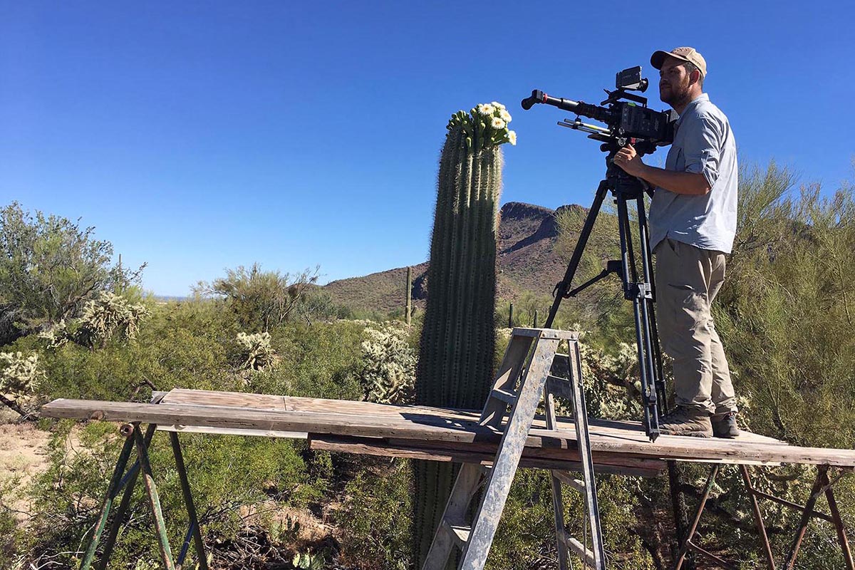 Ocean, narat de David Attenborough, proiecție &icirc;n premieră &icirc;n cadrul LYNX Festival