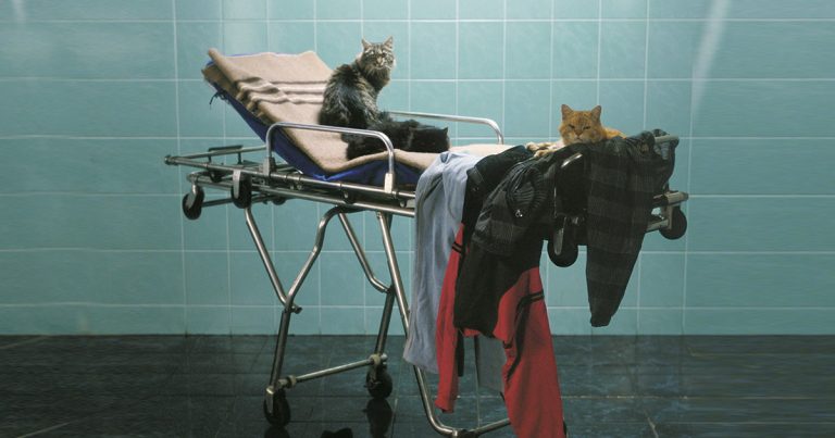 Proiecție specială la TIFF.24: 20 de ani de la lansarea filmului „Moartea domnului Lăzărescu”, regizat de Cristi Puiu