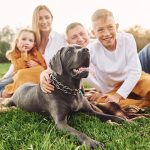 Programul pe ore de la festivalul posesorilor și iubitorilor de câini, Hello Doggie Festival: The Gathering, ce va avea loc pe 7 iunie