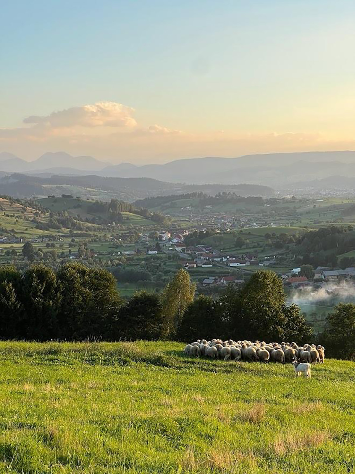 Brunch la ferma Noian