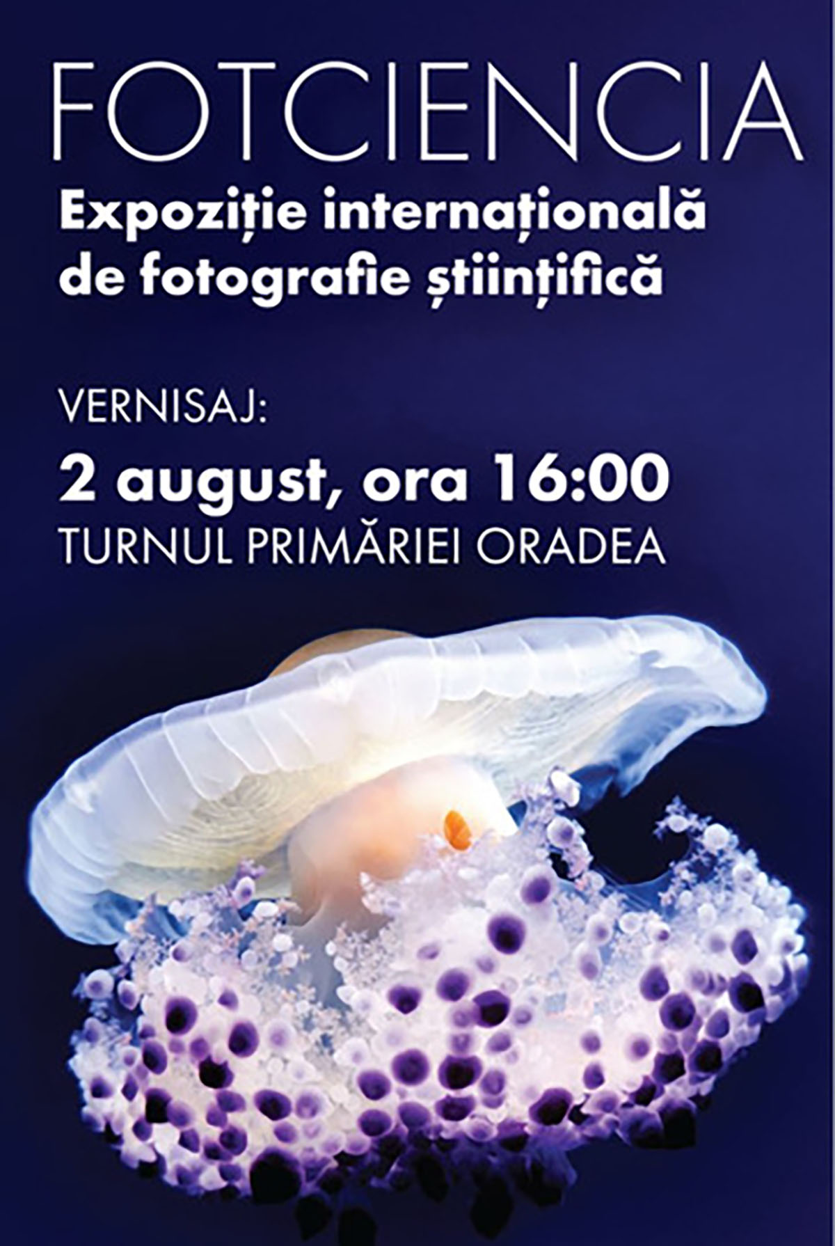 Neo Art Connect (NAC) la Oradea