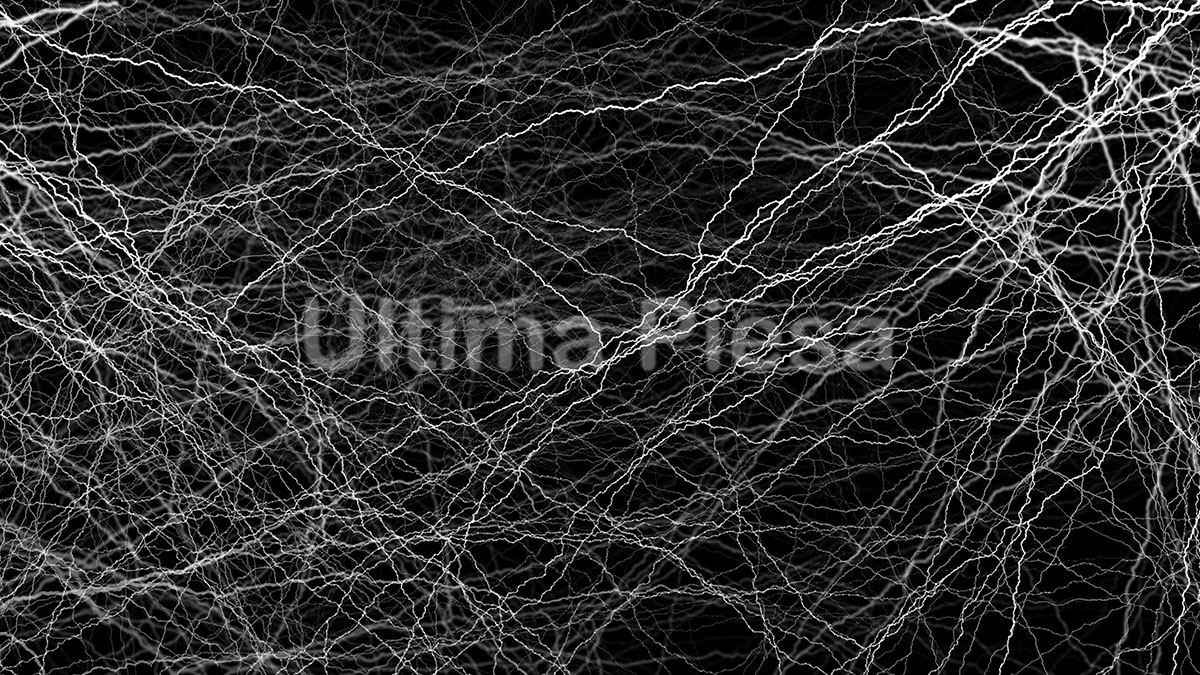 Prima serie de spectacole imersive din istoria Festivalului Enescu:&nbsp;o nouă dimensiune a muzicii clasice, la MINA