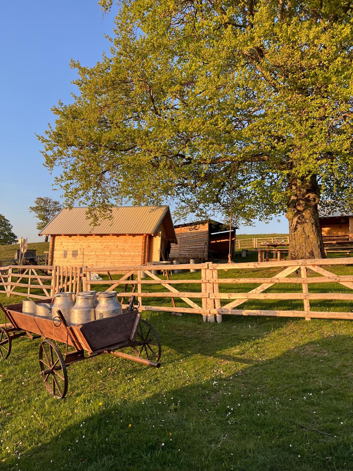 Brunch la ferma Noian