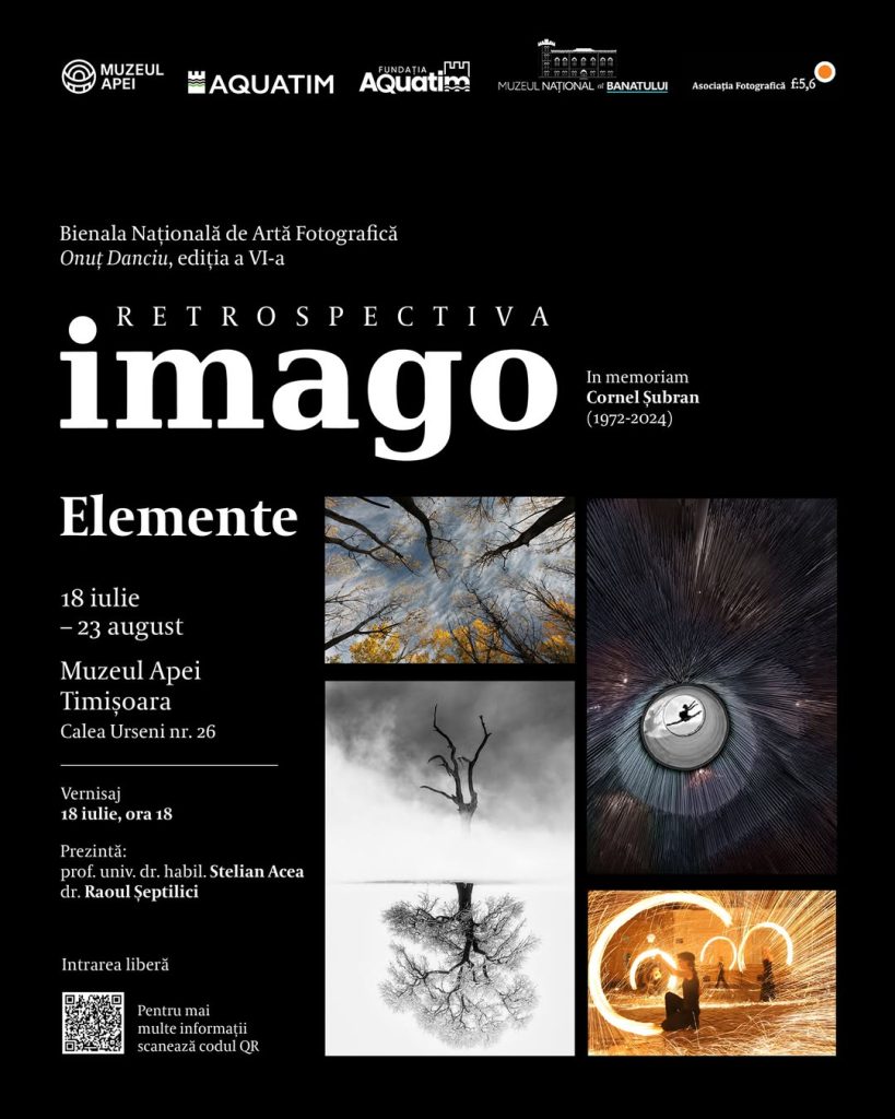Retrospectiva Imago – Elemente