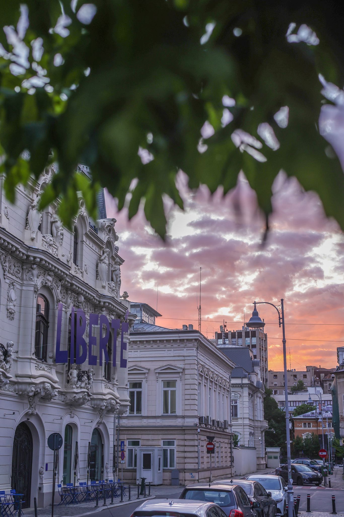 LIBERTÉ La Mița Biciclista – O reverență pentru Franța, un manifest pentru libertate