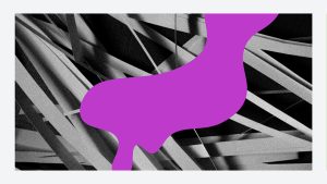 Box Bunny – prezentarea spectacolului creat de rezidenții Fresh Start în această vară la Reactor