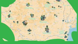 Descoperă harta Romanian Street Art