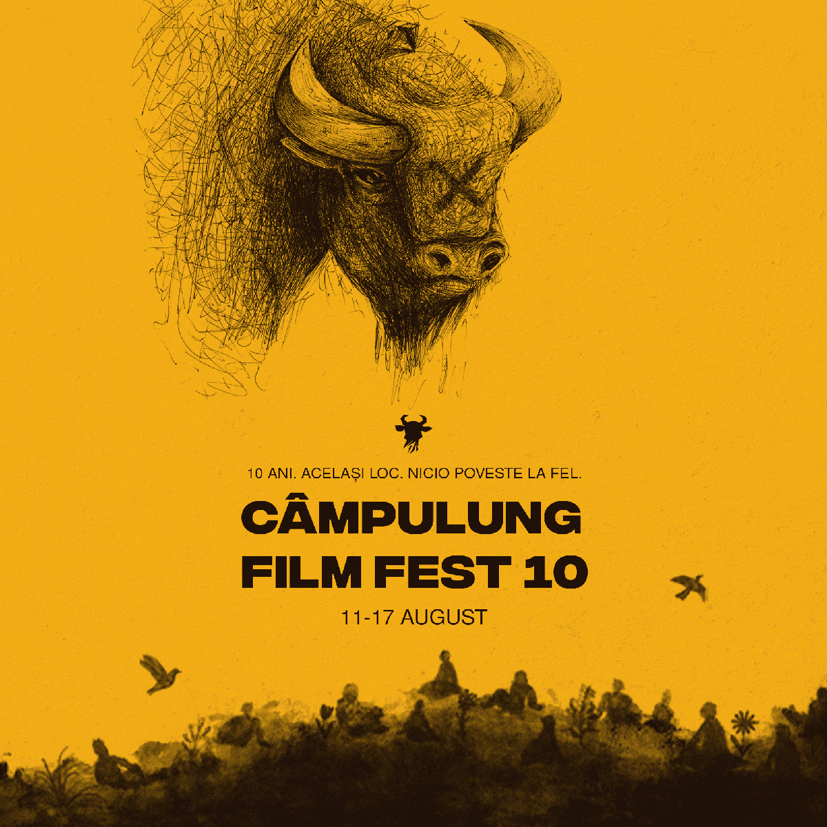 C&acirc;mpulung Film Fest 10: o ediție aniversară cu filme din toată lumea, pe ecranul din inima Bucovinei
