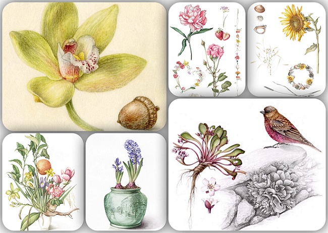 Desen botanic – atelier practic | Fundația Calea Victoriei