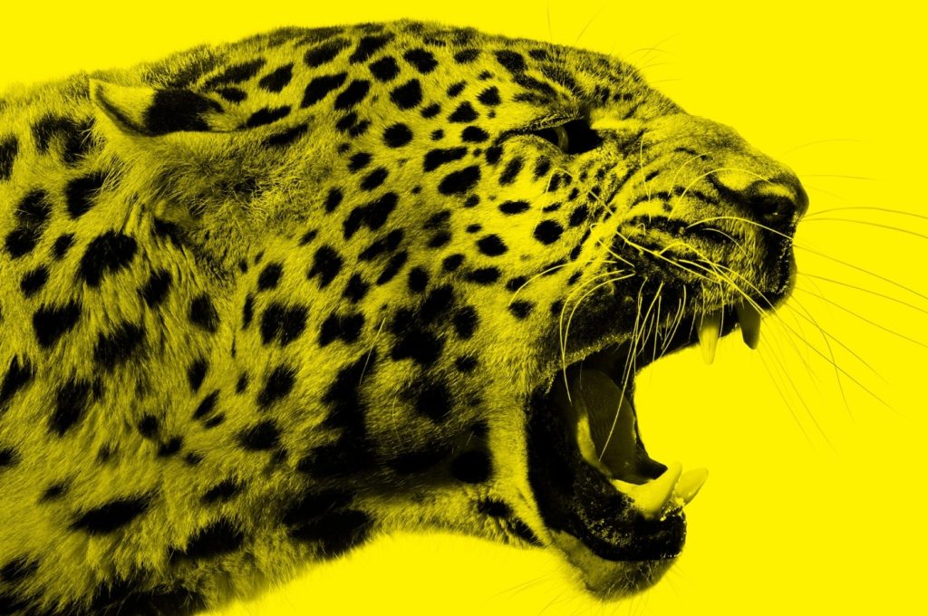 Festivalul Internațional de Film de la Locarno