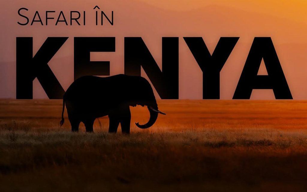 Safari in Kenya