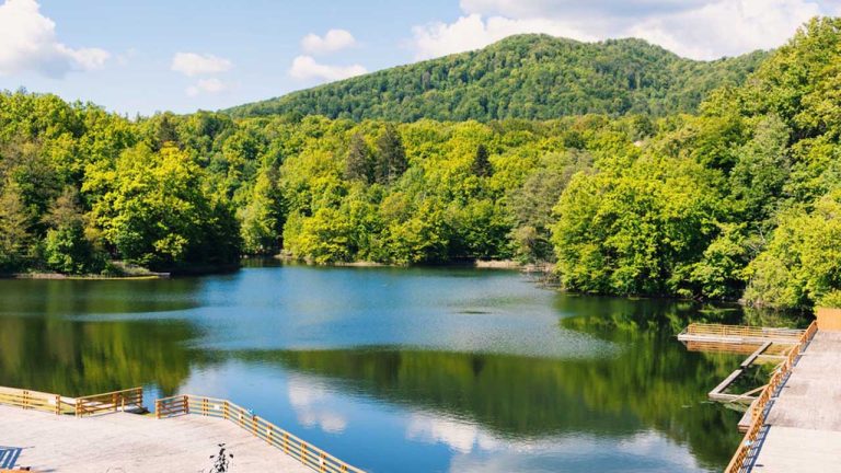 Retro walking: Un pas înapoi pentru un salt în sănătate