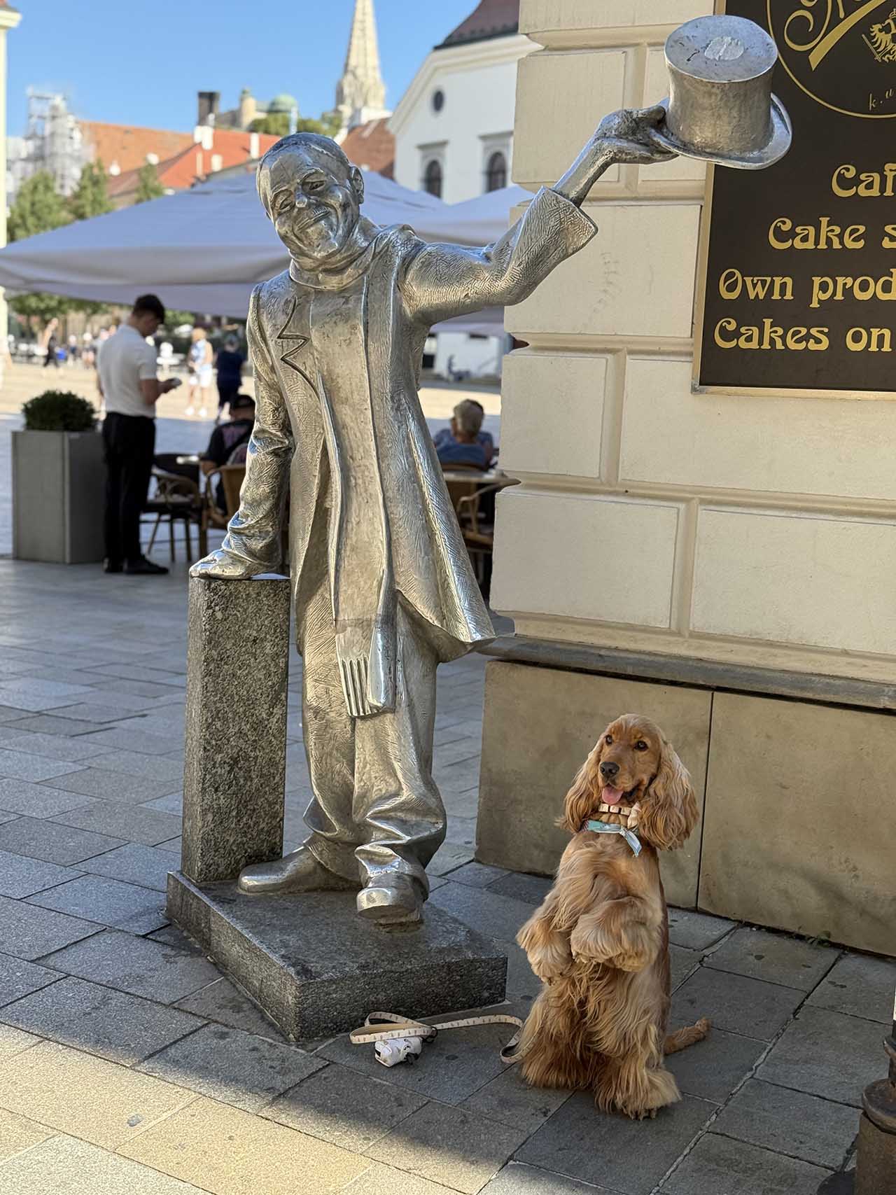 București, Viena sau Bratislava. Care capitală este mai dog-friendly?