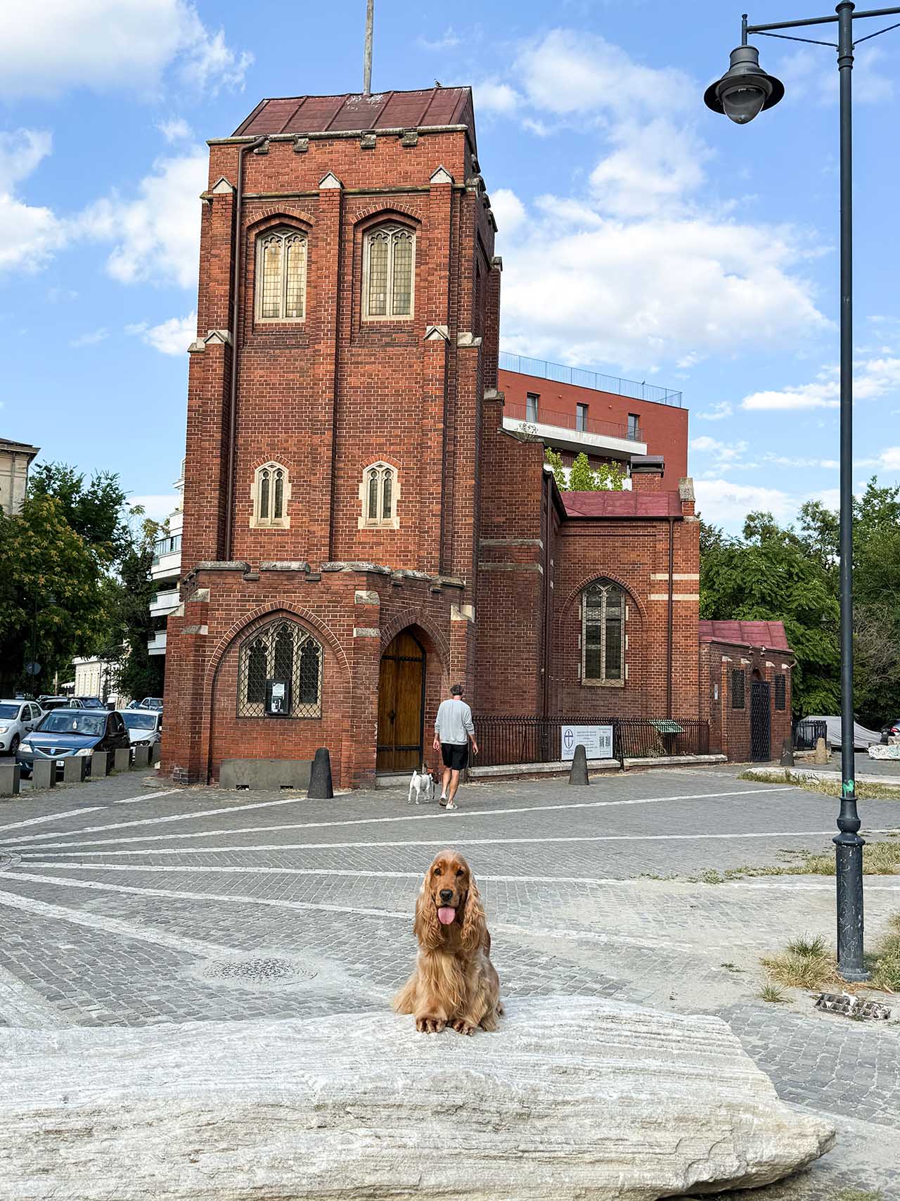 București, Viena sau Bratislava. Care capitală este mai dog-friendly?