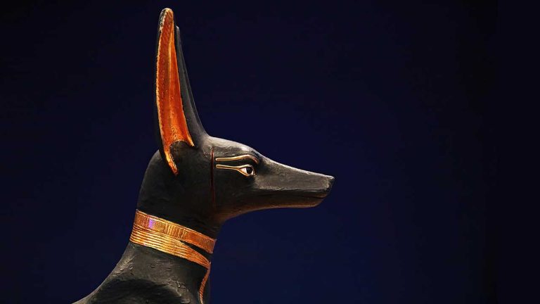 MINA Cluj: Egiptul Antic sub Privirile Zeilor