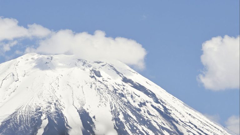 Muzeul Antipa deschide expoziția „Japonia, file din natură”