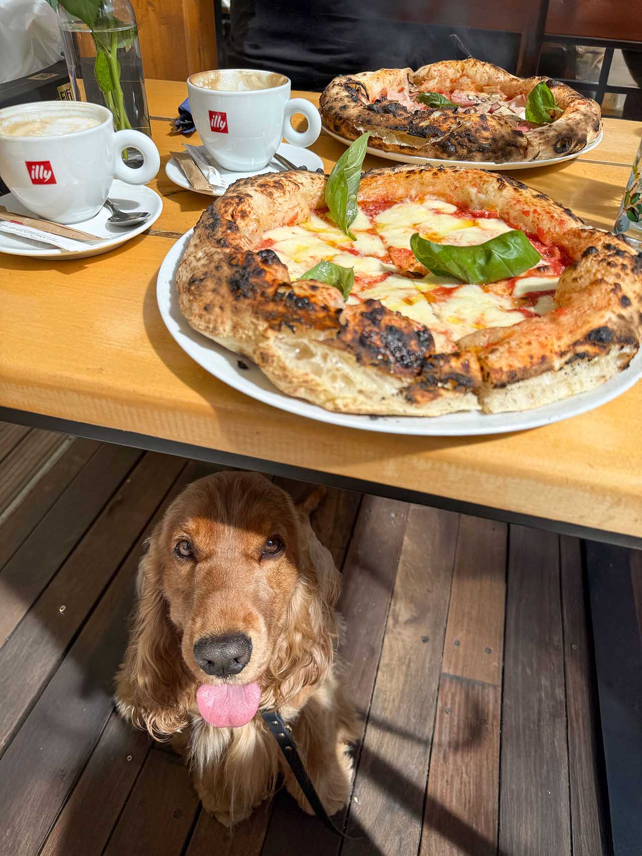 Un Poco Pizza &ndash; gustul pizzei napolitane alături de cățelul tău