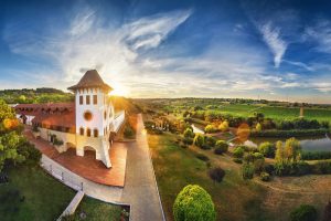 Vin de sezon - Negru de Purcari Vintage