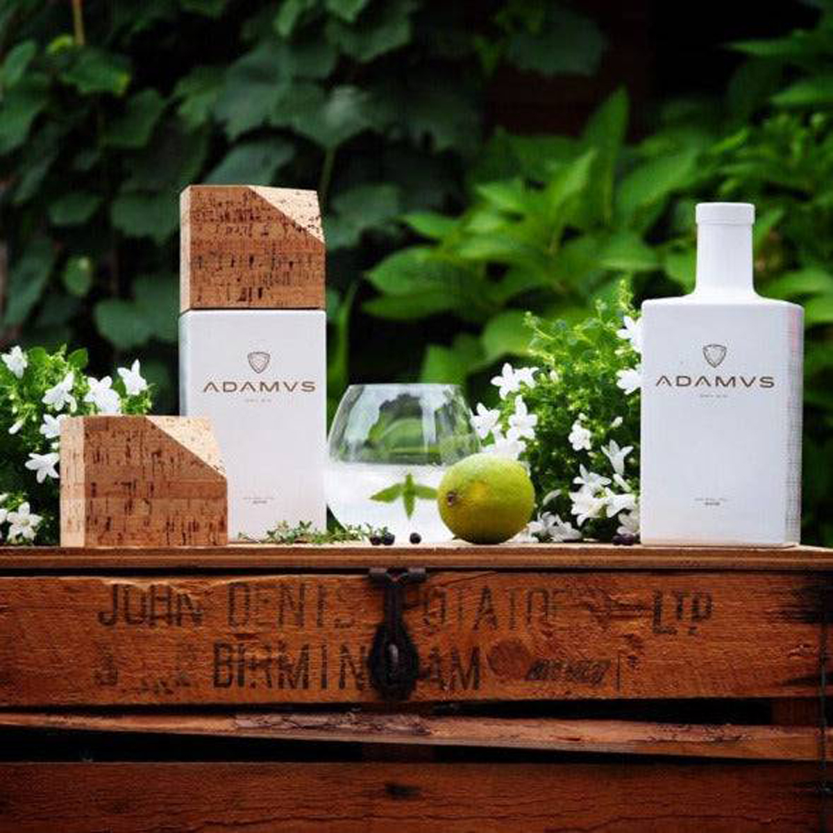 ADAMUS ORGANIC DRY GIN