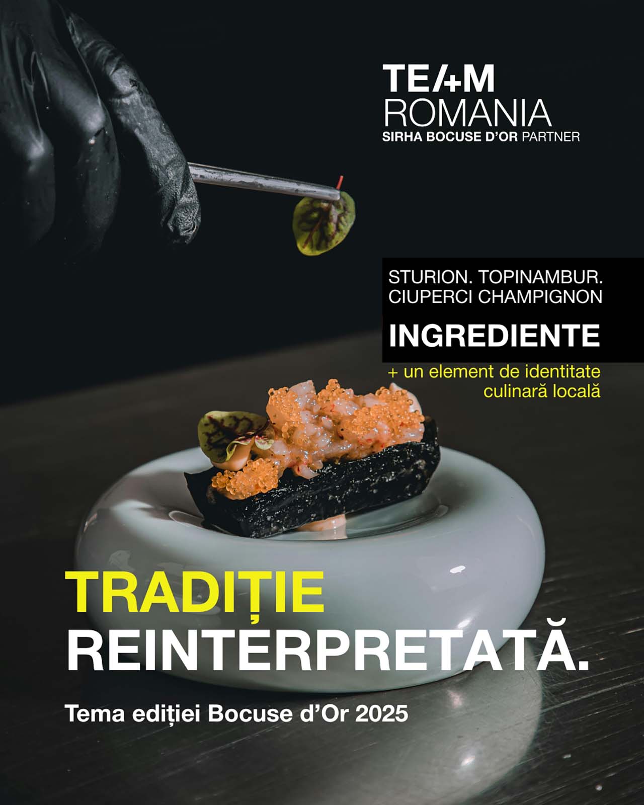 România urcă pe scena mondială a gastronomiei: echipa națională a fost selectată să participe la Bocuse d’Or Europe 2026