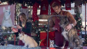 Cu 10 săptămâni înainte de Crăciun, la DIVA ne amintim cât de important este să ne întoarcem acasă