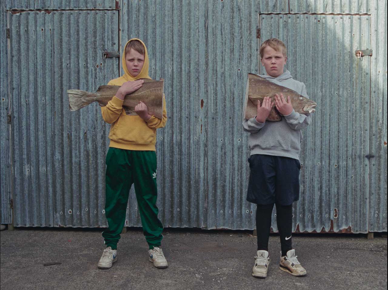 Cele mai aşteptate filme de la Veneţia vin în premieră în România la Les Films de Cannes