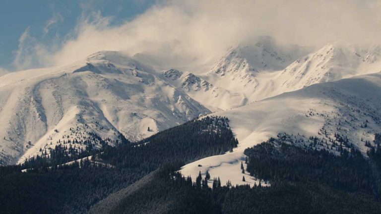 Documentarul „Arhitecții Naturii” ajunge în cinematografele din România începând cu 24 octombrie