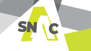 Salonul Național de Artă Contemporană – SNAC Tineret 2025