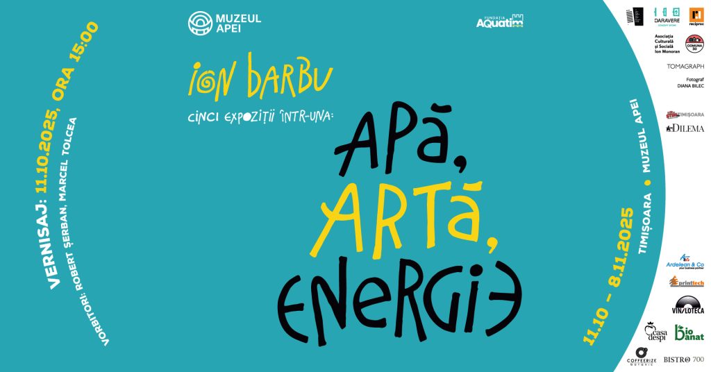 Ion Barbu – Apă, Artă, Energie