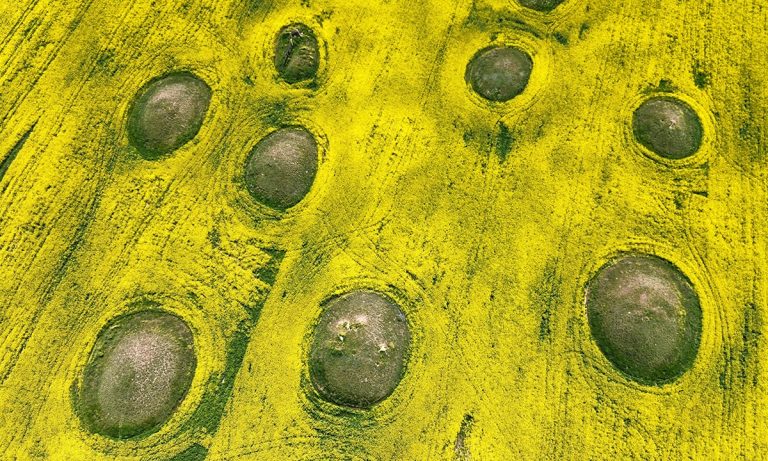 Realități alternative co-create de artiști și cercetători în fața crizei climatice