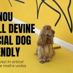 Un nou mall își deschide ușile pentru blănoși