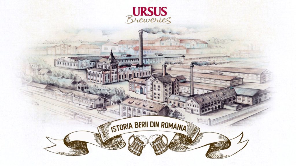 Berea povestită ursus