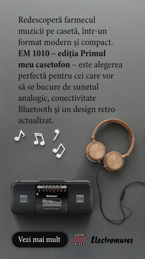 Electromures - pastial 1