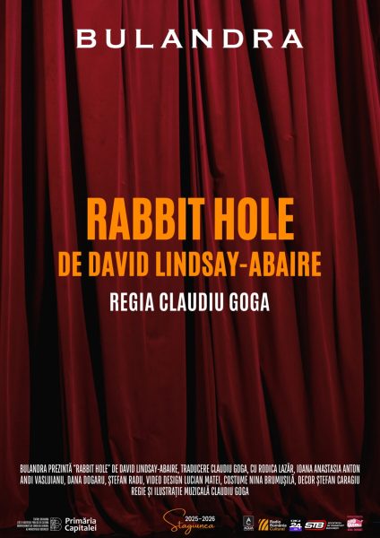 Rabbit Hole @ Teatrul Bulandra