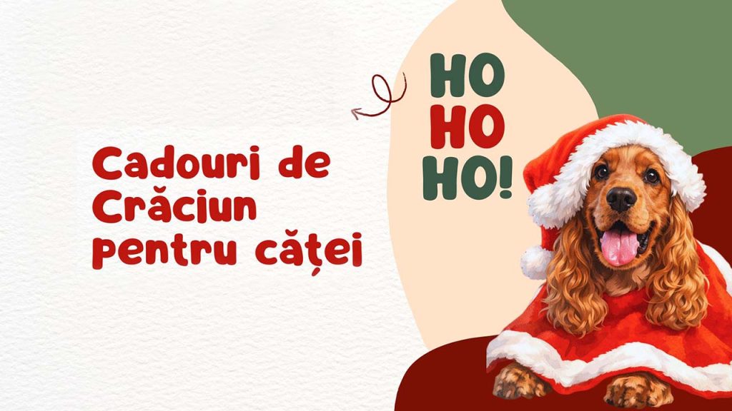 Cadouri de Crăciun pentru căței