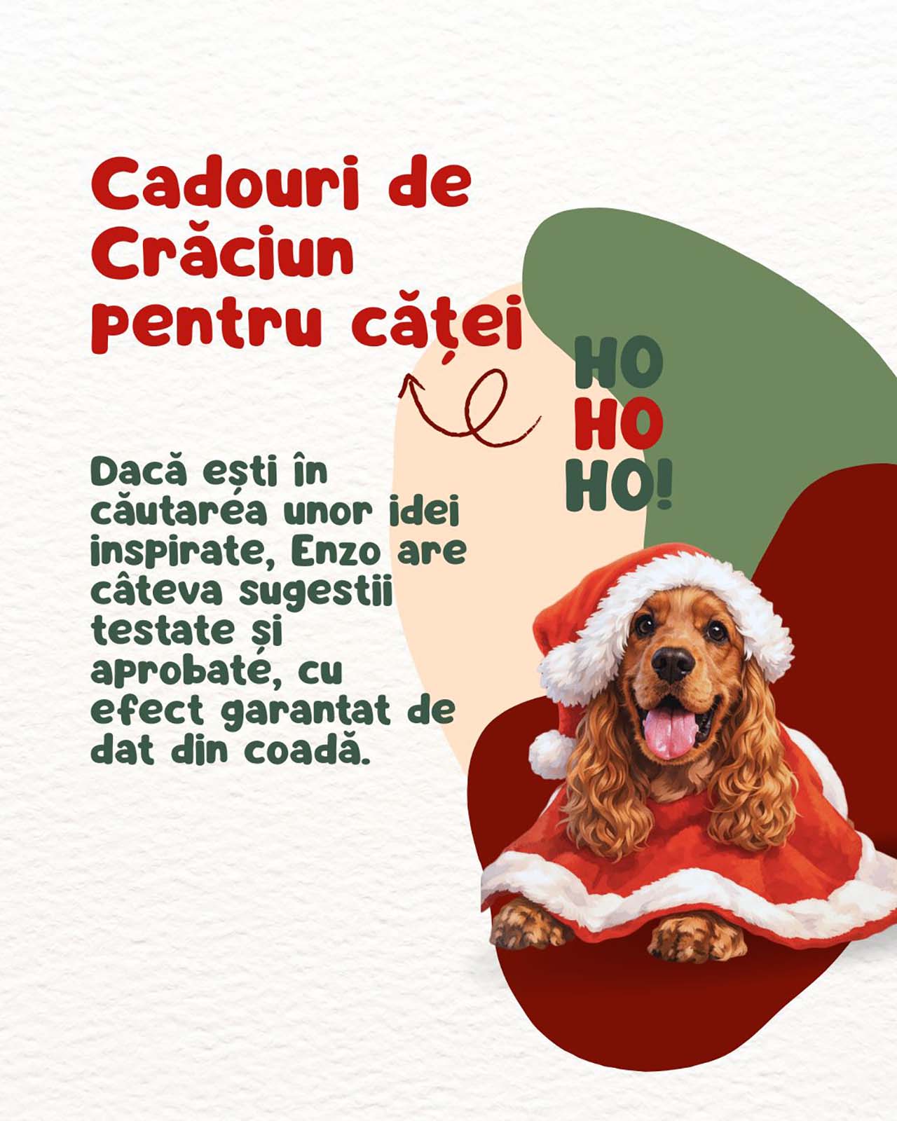 Cadouri de Crăciun pentru căței