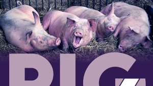 Pig a Slaughter Story #6 la Muzeul Național al Țăranului Român