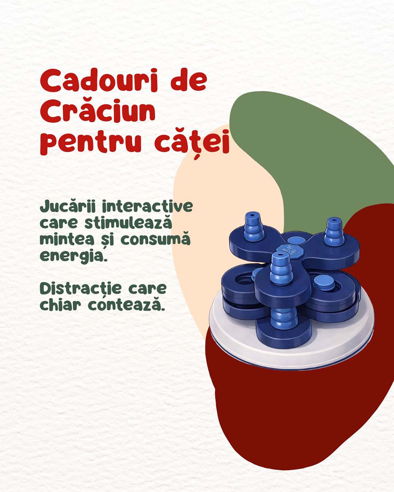 https://zilesinopti.ro/wp-content/uploads/2025/12/1-8.jpg
