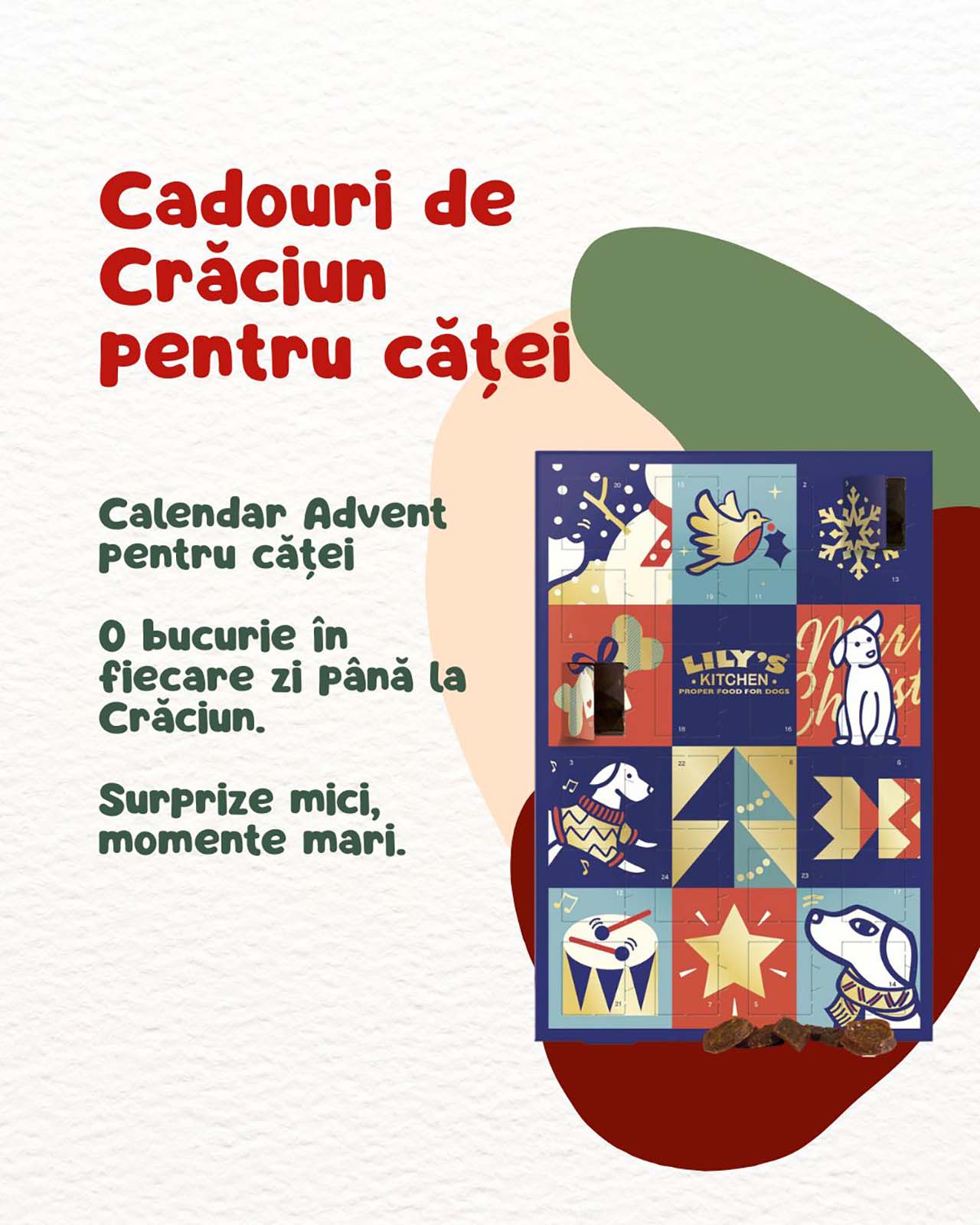 https://zilesinopti.ro/wp-content/uploads/2025/12/1-8.jpg