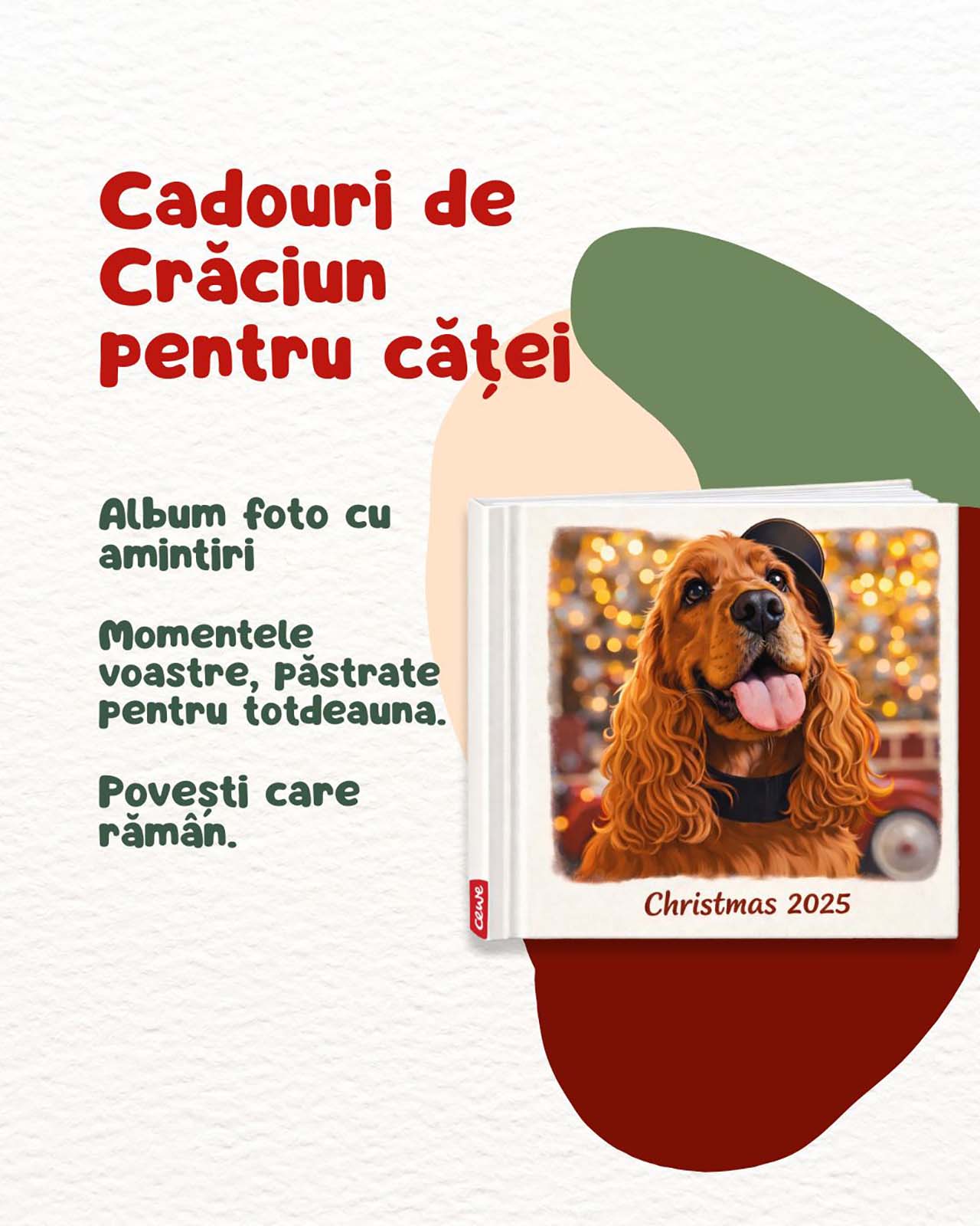 https://zilesinopti.ro/wp-content/uploads/2025/12/1-8.jpg