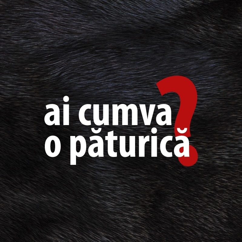 Ai cumva o păturică? 