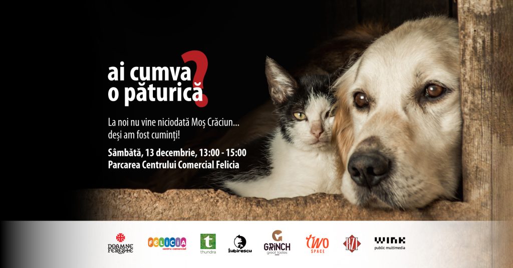 Ai cumva o păturică? 2025 @ Centrul Comercial Felicia