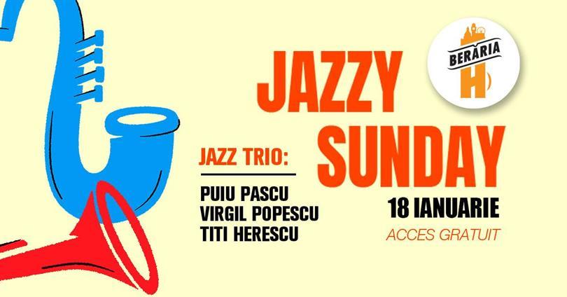 Jazzy Sunday with Puiu Pascu, Virgil Popescu, Titi Herescu Trio @ Berăria H