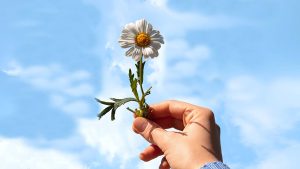 Fă rai din ce ai - Expoziție de artă contemporană