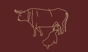 Primii păzitori ai memoriei – înhumările din Paleolitic, expoziție la Brașov