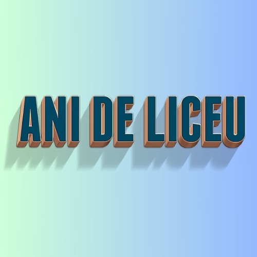 Ani De Liceu