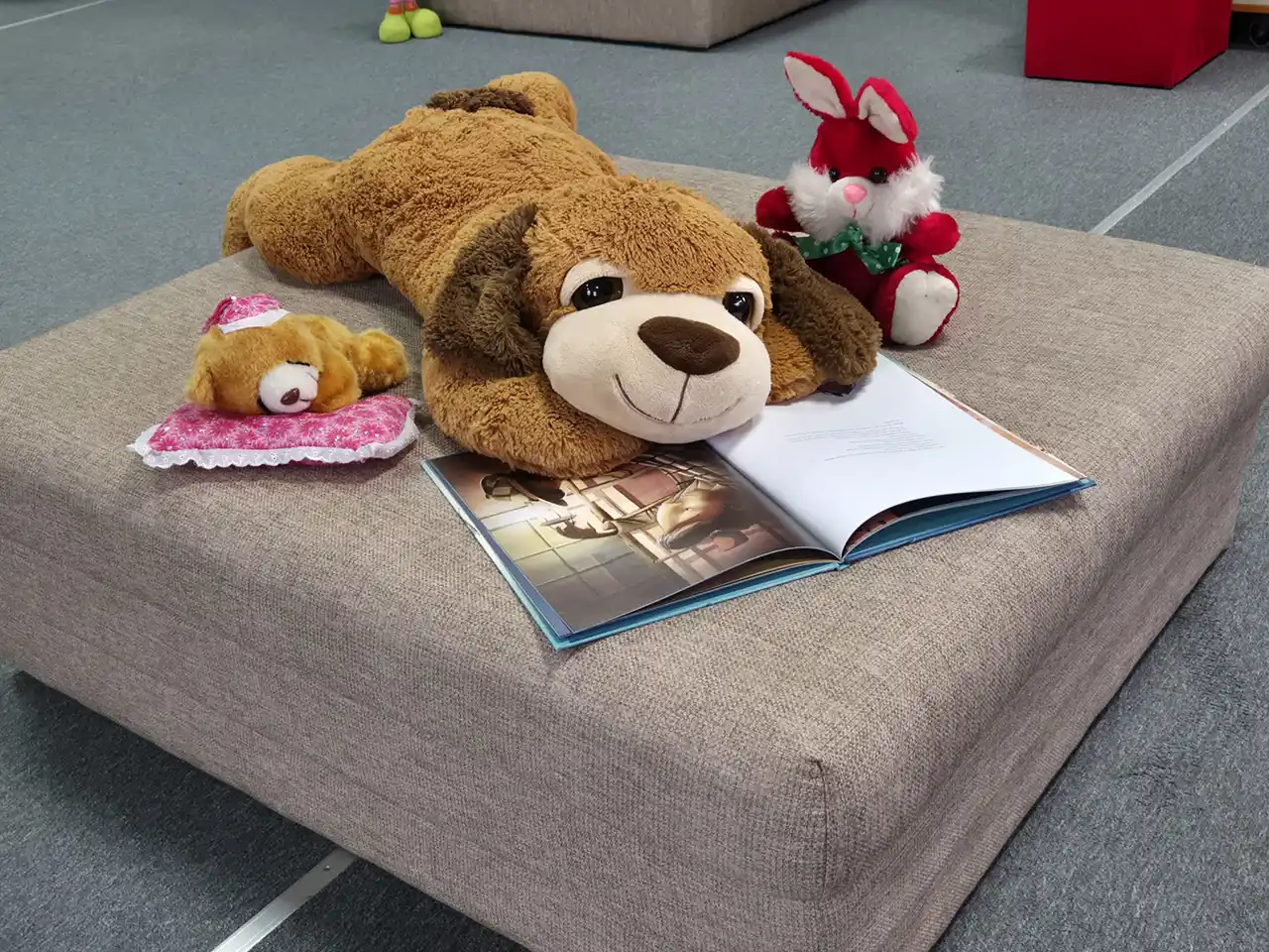 Poză Biblioteca pentru copii