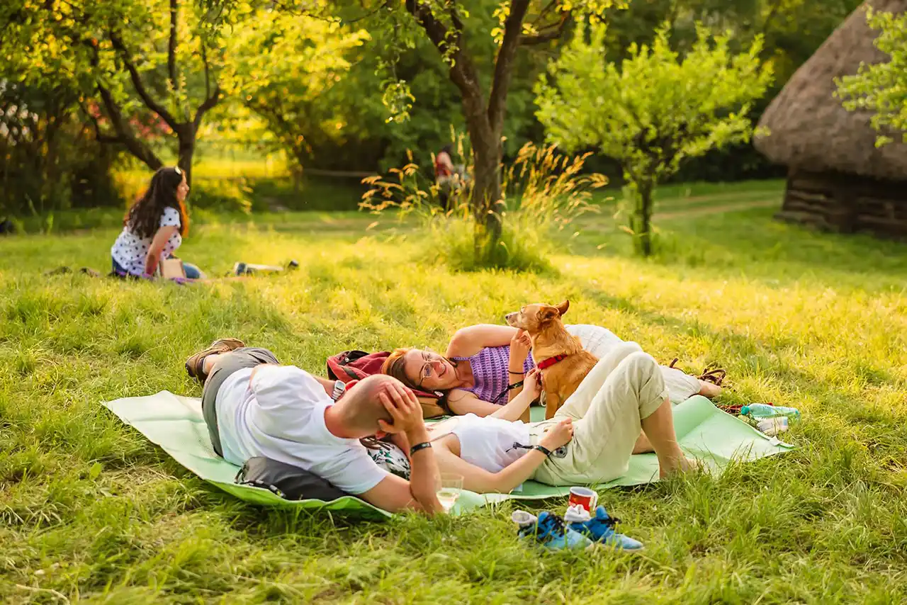 Jazz in the Park, poză ediție anterioară
